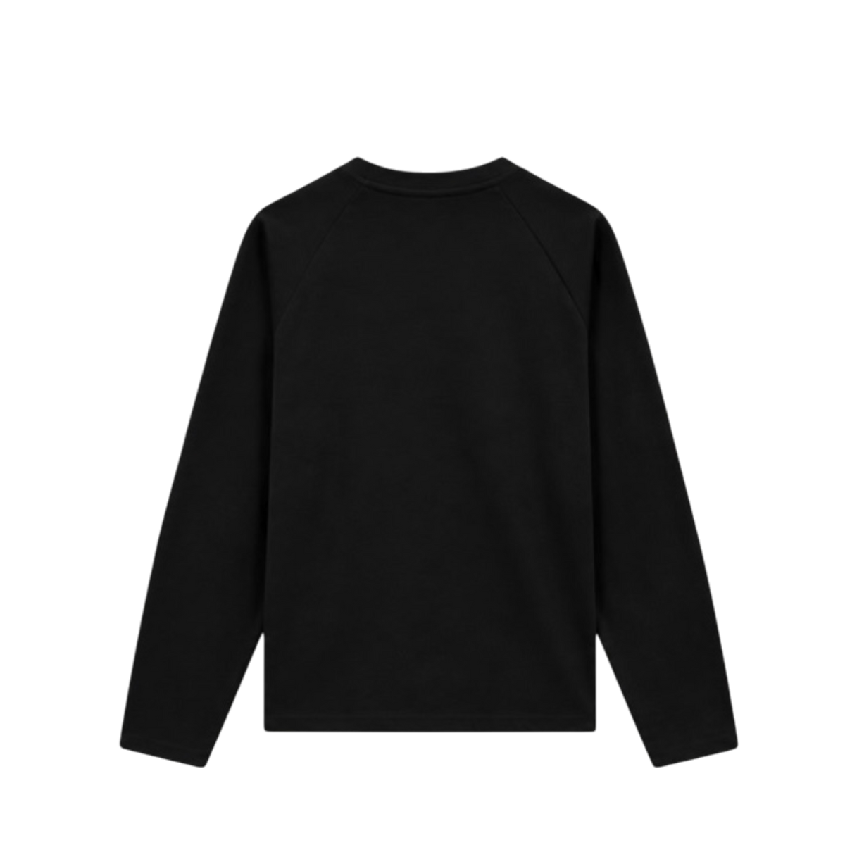 FAINTED LONGSLEEVE